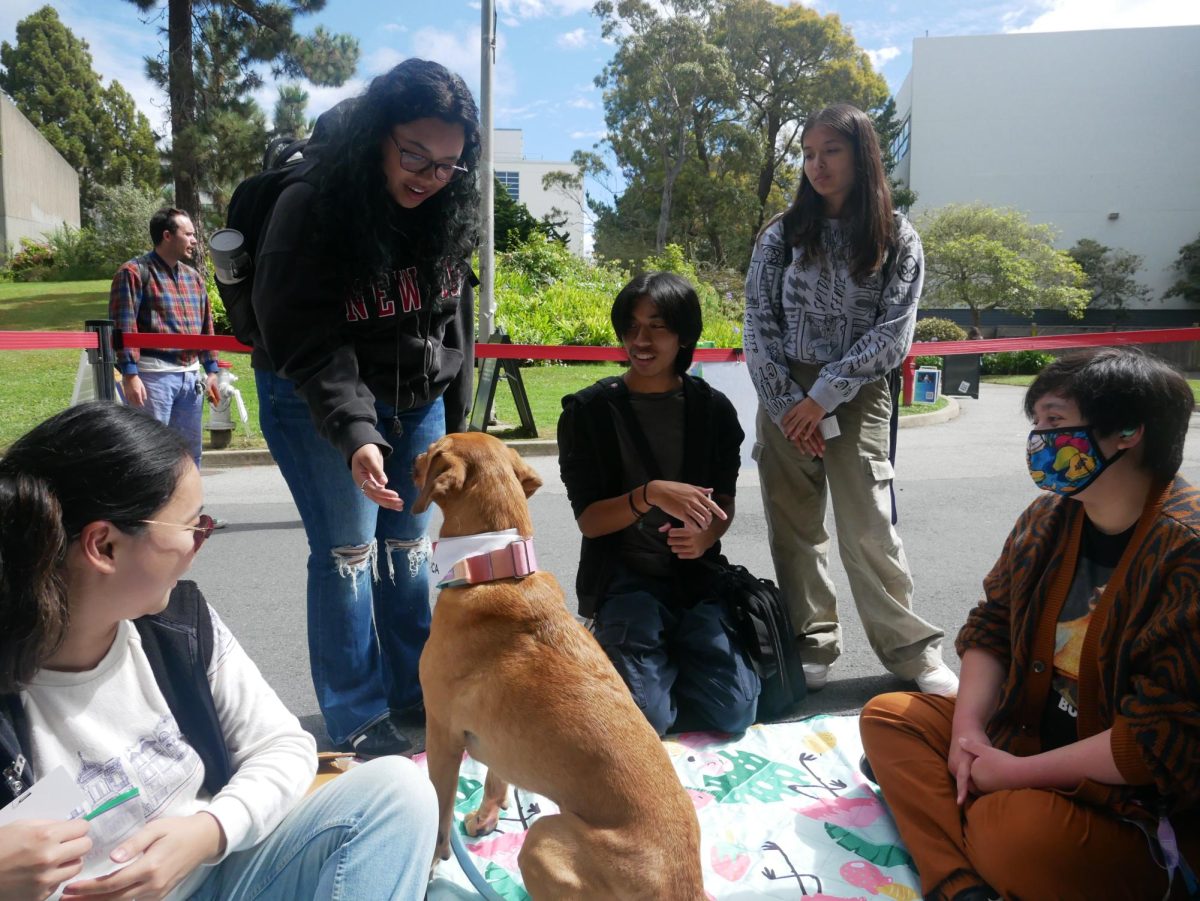 A group of people play with Toffee the service dog at the Wags for Wellness event outside of the Student Services Building on Wednesday, Sept. 18, 2024.